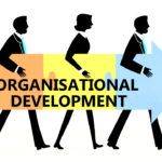 Organizational Development By French And Bell